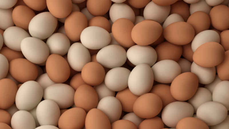 ฝันเห็นไข่ไก่เยอะมาก แปลความหมายโดยรวมว่าดีหรือร้าย?
