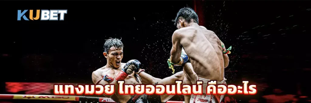 แทงมวย ไทยออนไลน์ คืออะไร
